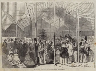 Conservatory, Royal Botanic Society